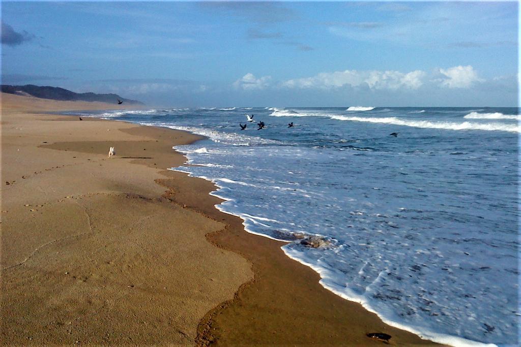 Panorama Guest House Port Alfred Luaran gambar